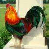 Steel Rooster colored with Steel FX Solvent Dyes.  Robbie W.

